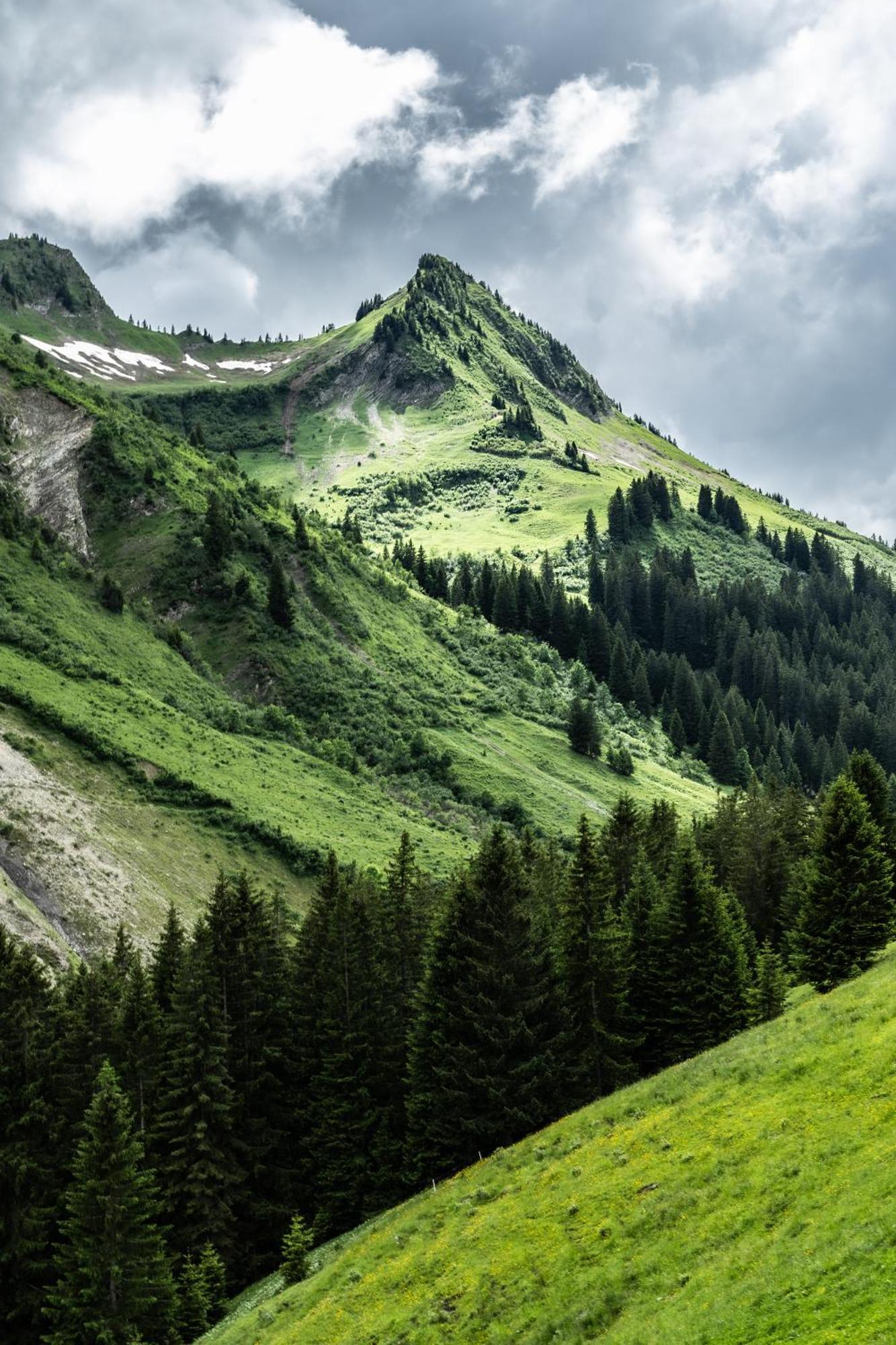 Gasthaus Ursprung Damuels Exteriér fotografie